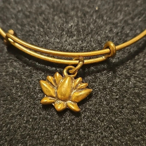 Alex and Ani Lotus Blossom‎ bangle charm bracelet + beaded bracelet - Picture 2 of 7
